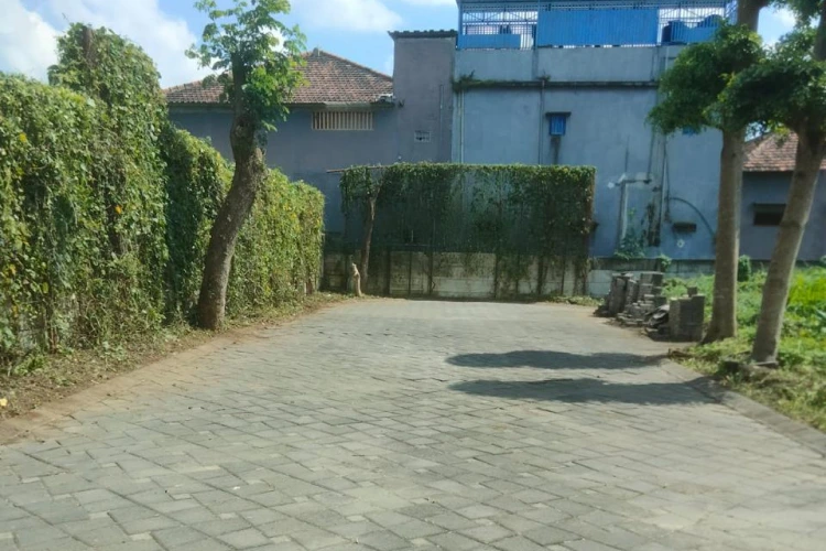 private cluster kost janti