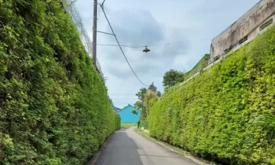 cluster-ks-tubun-3-webp.webp cluster-ks-tubun-3-webp.webp