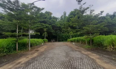 green-cluster-scaled.webp green-cluster-scaled.webp