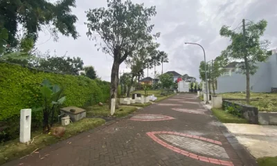 green-cluster-webp.webp green-cluster-webp.webp